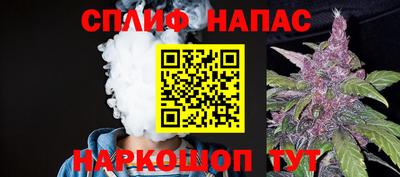 стаф Будённовск