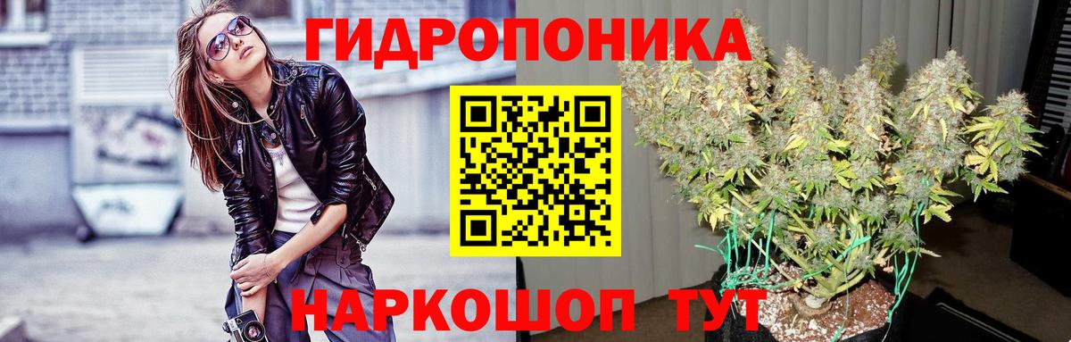 Псков  Бошки Шишки семена  Бошки Шишки ГИДРОПОН  Вход с VPN  Конопля VHQ 